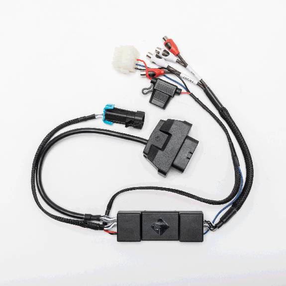 Rockford Fosgate 1560-77442-01