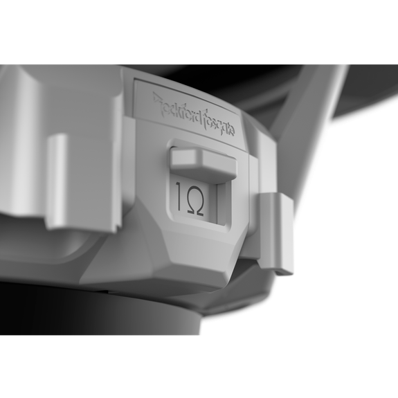 Rockford fosgate M1D2-10