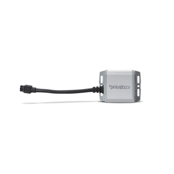 Rockford Fosgate PM100X1