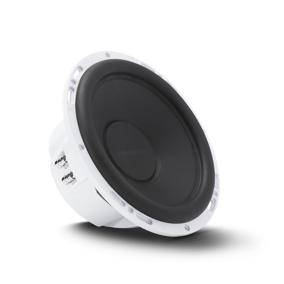 Rockford fosgate RM110D2
