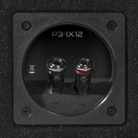 Rockford Fosgate P3-1X12