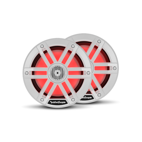 Rockford Fosgate M1-65