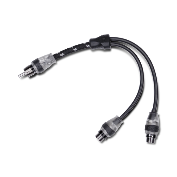 Rockford Fosgate RFITY-1M