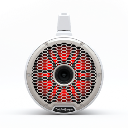 Rockford Fosgate M2WL-10H