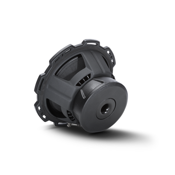 Rockford Fosgate Punch P1S2-10