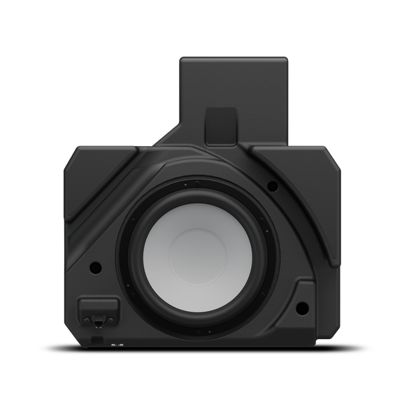 Rockford Fosgate X317MAX-RSS