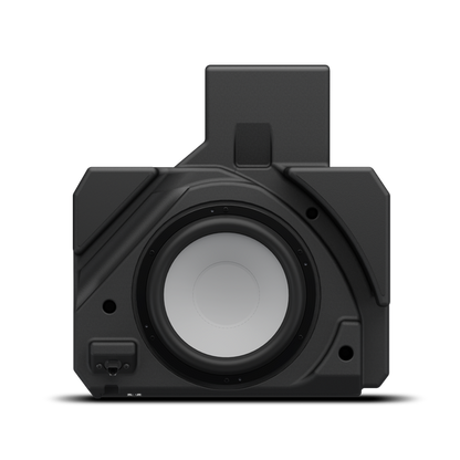 Rockford Fosgate X317MAX-RSS