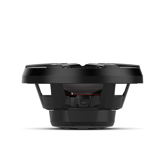 Rockford Fosgate M2D2-12IB