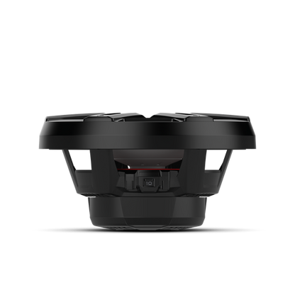 Rockford Fosgate M2D2-12IB