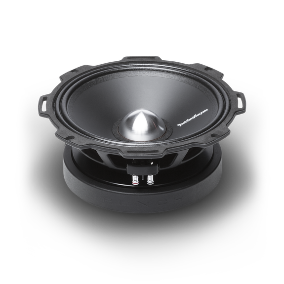 Rockford Fosgate Punch Pro PPS4-10