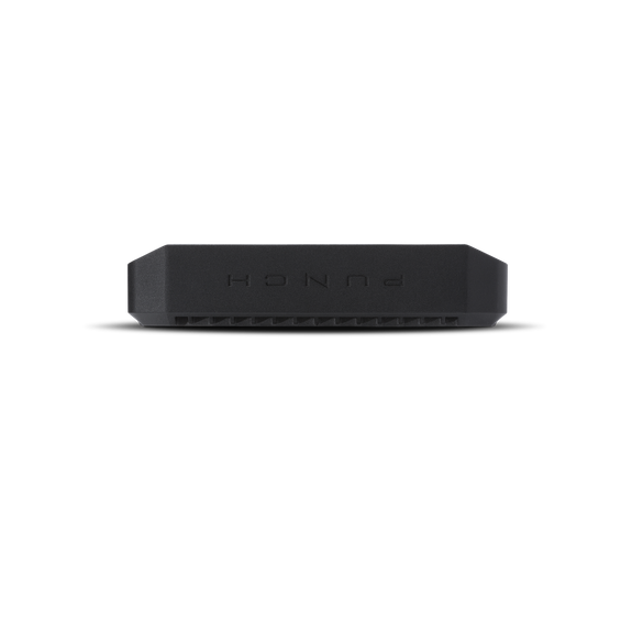 Rockford Fosgate Punch P500X1BD