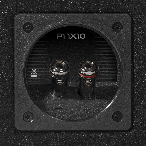 Rockford Fosgate P1-1X10