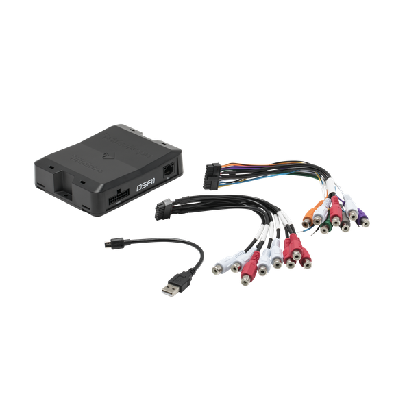 Rockford Fosgate DSR-1