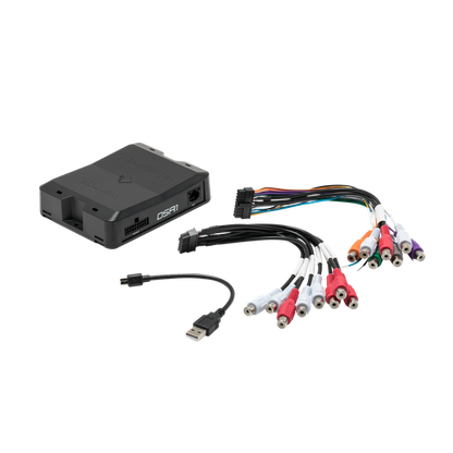Rockford Fosgate DSR-1