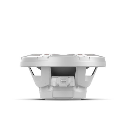 Rockford fosgate M1D2-10