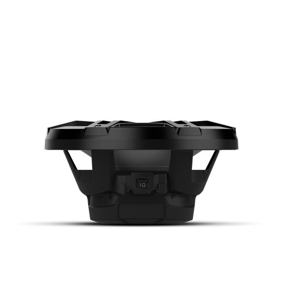 Rockford fosgate M1D2-10B