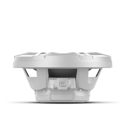 Rockford Fosgate M1D2-12