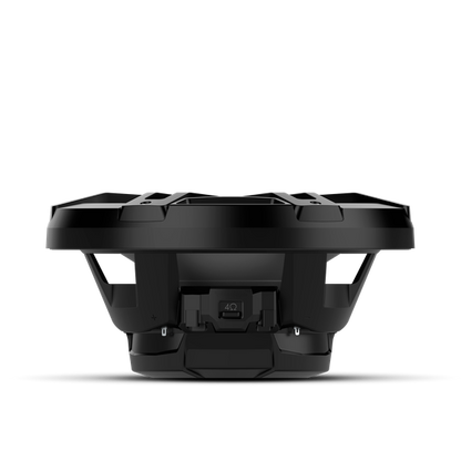 Rockford Fosgate M1D2-12B