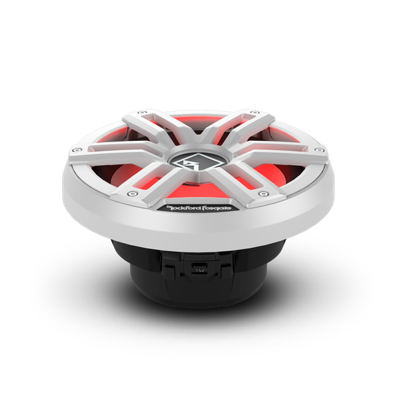 Rockford Fosgate M2D2-10I