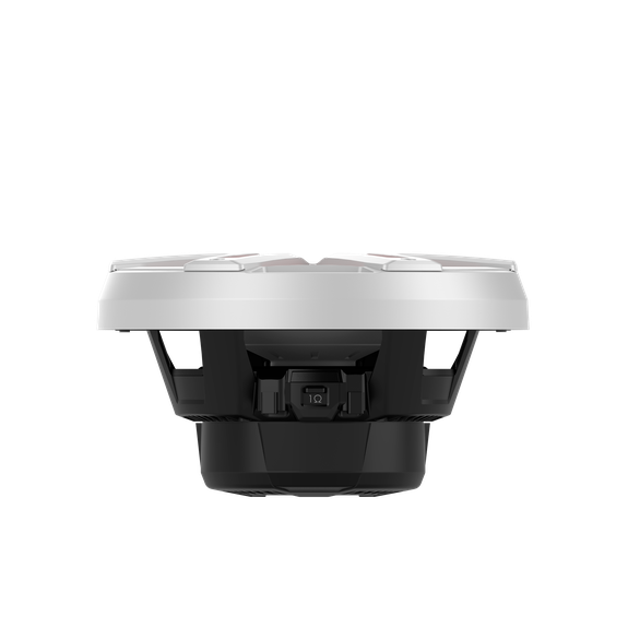Rockford Fosgate M2D2-10I