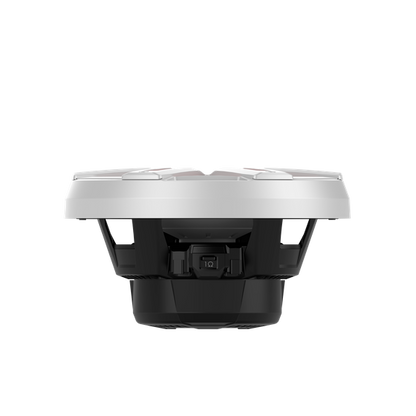 Rockford Fosgate M2D2-10I