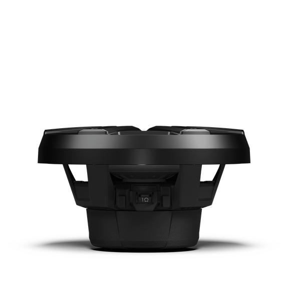 Rockford Fosgate  M2D2-10IB-G2