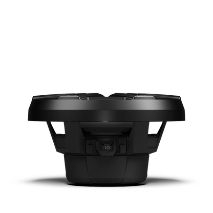 Rockford Fosgate  M2D2-10IB-G2