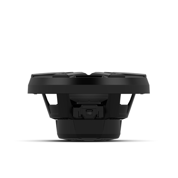 Rockford Fosgate M2D4-10IB