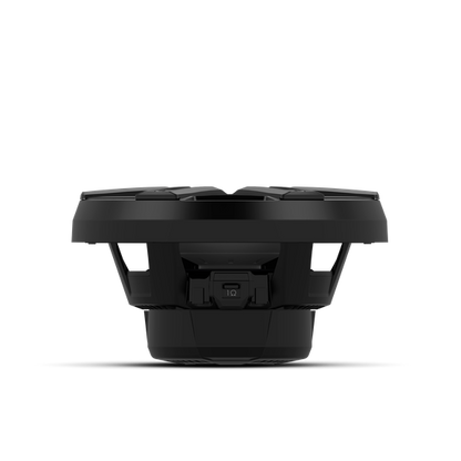 Rockford Fosgate M2D4-10IB