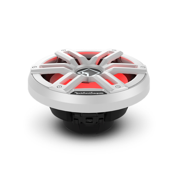 Rockford fosgate M2D2-10S