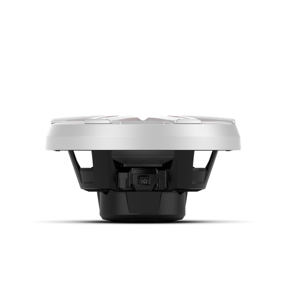 Rockford fosgate M2D2-10S