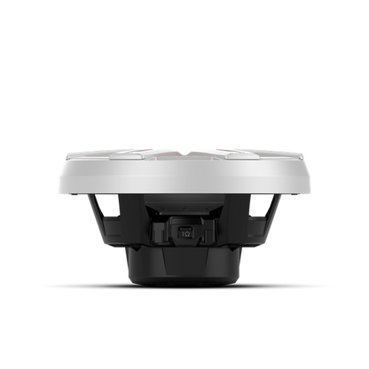 Rockford fosgate M2D2-10S