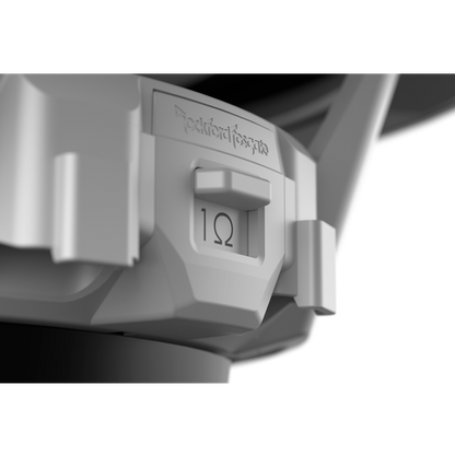 Rockford fosgate M2D2-10S