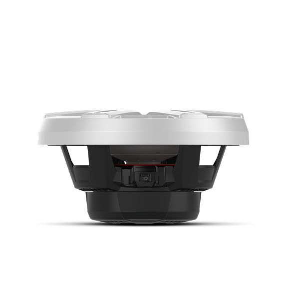 Rockford Fosgate M2D2-12I