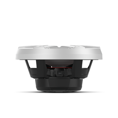 Rockford Fosgate M2D2-12I