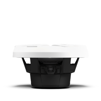 Rockford Fosgate M2D4-10I-G2