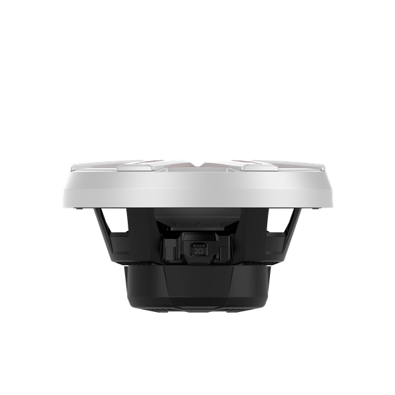 Rockford Fosgate M2D4-10I