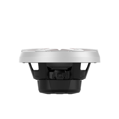Rockford Fosgate M2D4-10I