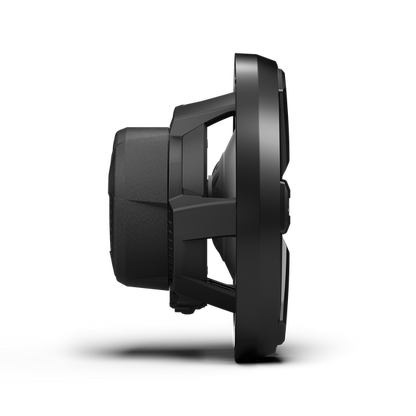 Rockford Fosgate M2D4-10IB-G2