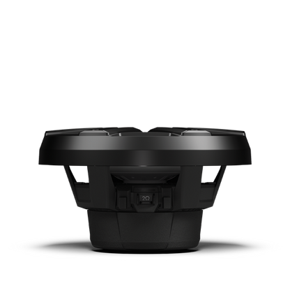 Rockford Fosgate M2D4-10IB-G2