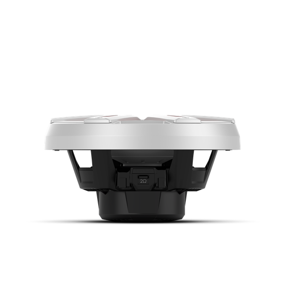 Rockford fosgate M2D4-10S