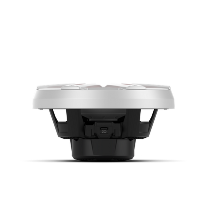 Rockford fosgate M2D4-10S