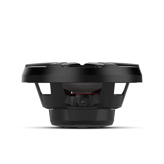 Rockford Fosgate M2D4-12IB