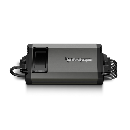 Rockford Fosgate M5-1000X1