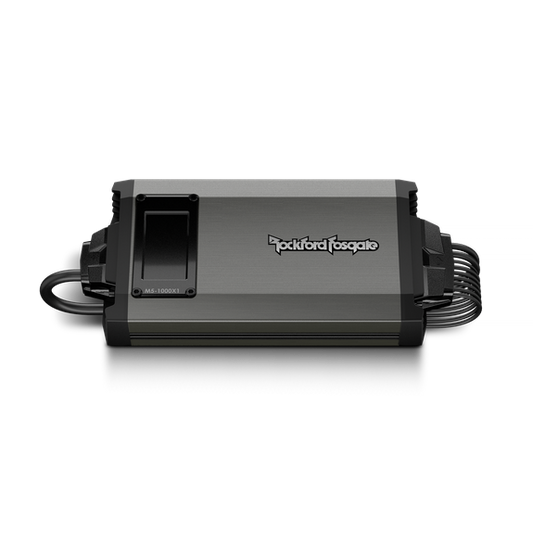 Rockford Fosgate M5-1000X1