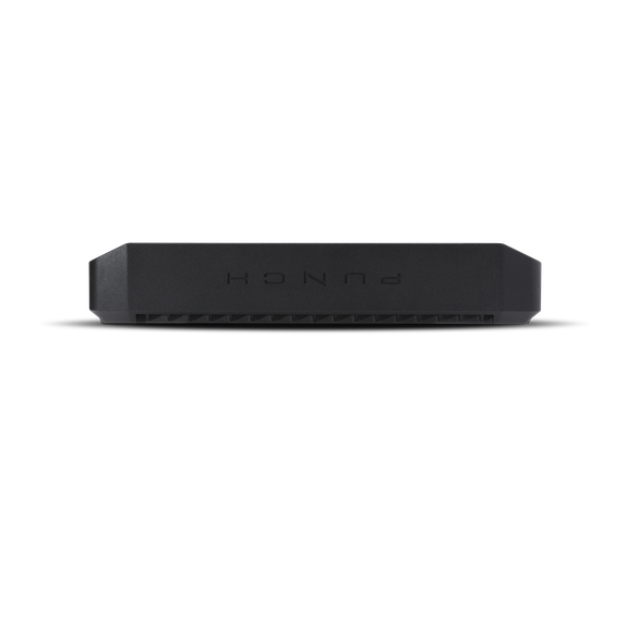 Rockford Fosgate Punch P1000X1bd