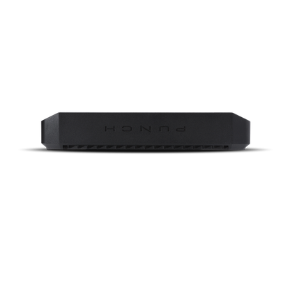 Rockford Fosgate Punch P1000X1bd