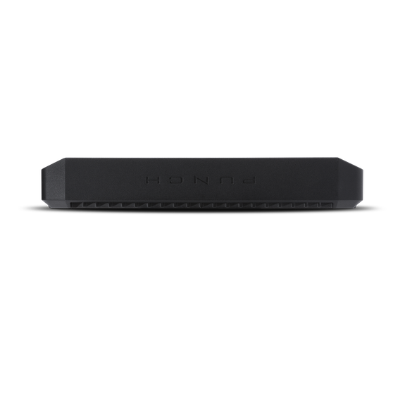 Rockford Fosgate Punch P1000X2