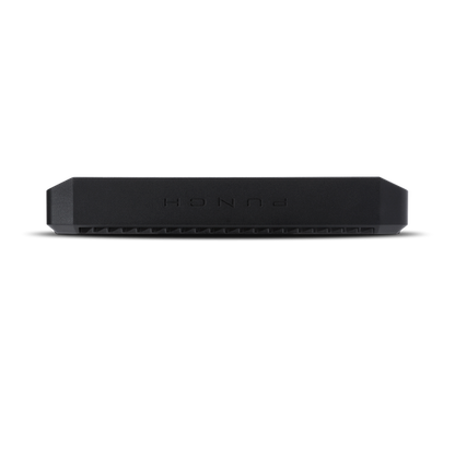 Rockford Fosgate Punch P1000X2