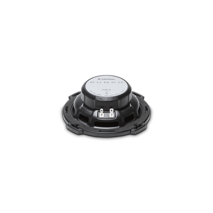 Rockford Fosgate Punch P16-S